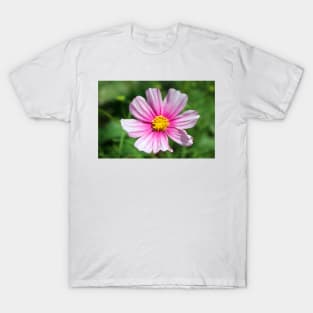 Pink Cosmos T-Shirt